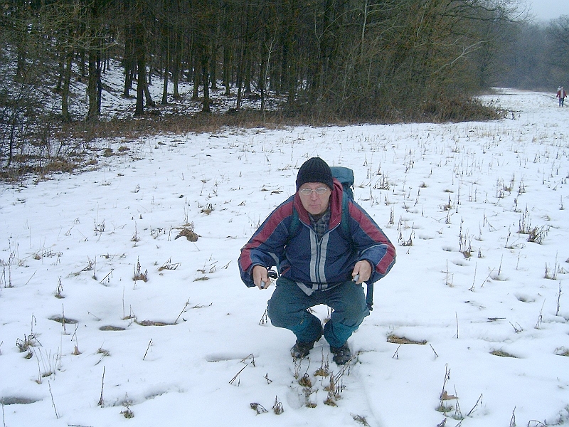 20100220 070.jpg